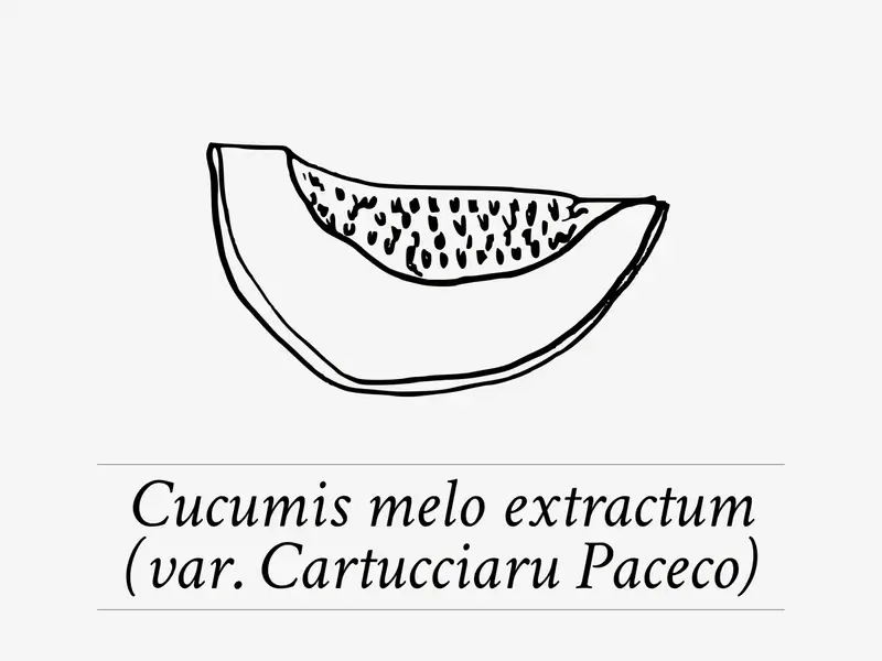 Davines MOMO ingredient Melon